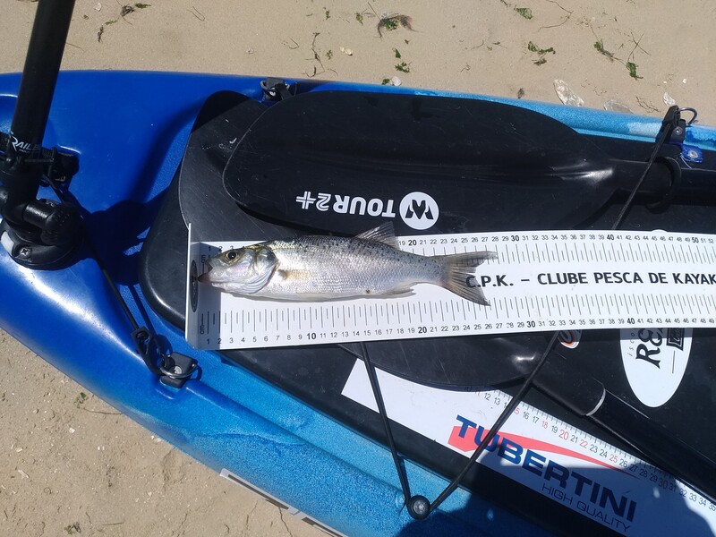 Fish Measure Picture